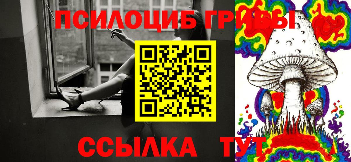 Павлово  Псилоцибиновые грибы GOLDEN TEACHER  Вход с VPN 